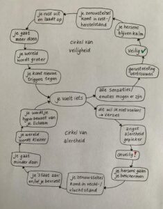 positieve en negatieve feedbackloop